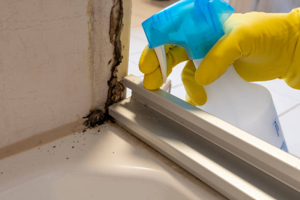 Best Crawl Space Mold Removal  in Lake Clarke Shores, FL