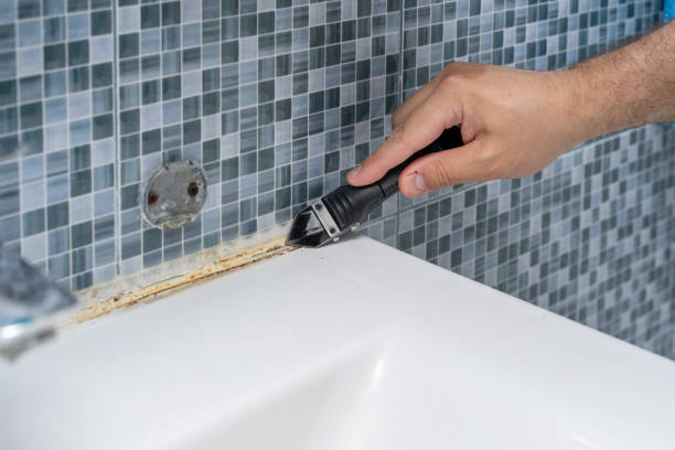 Best Best Mold Removal Companies  in Lake Clarke Shores, FL